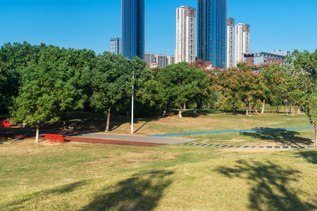 city park with modern building background in shanghai
