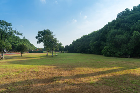 Beautiful panorama of green city parkの写真素材
