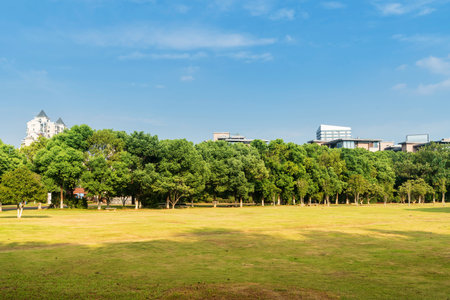 Beautiful panorama of green city parkの写真素材