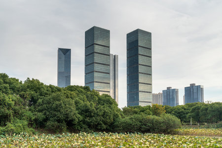 spring park and modern cityの写真素材