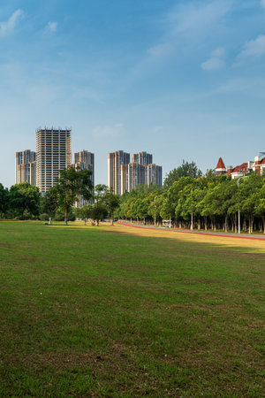 spring park and modern cityの写真素材