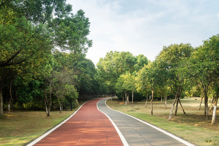 New pathway and beautiful trees track for running or walking and cycling relax in the park