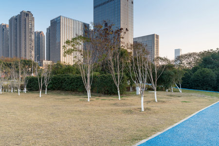 city park with modern building background in shanghai