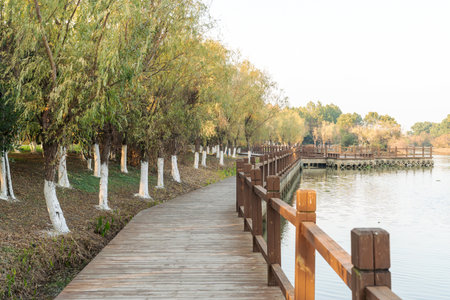 boardwalk in the City Parkの写真素材