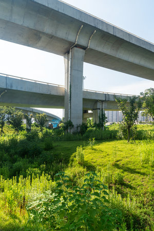 Concrete structure and asphalt road space under the overpass in the cityの写真素材