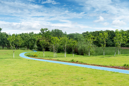 Beautiful panorama of green city park