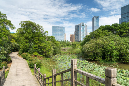 spring park and modern city
