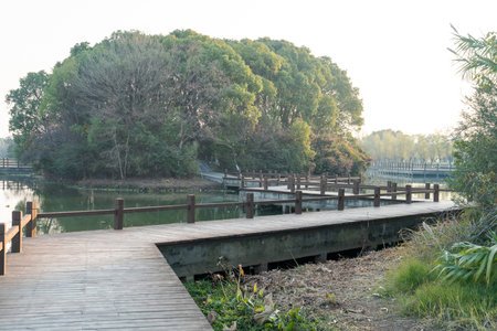 boardwalk in the City Parkの写真素材