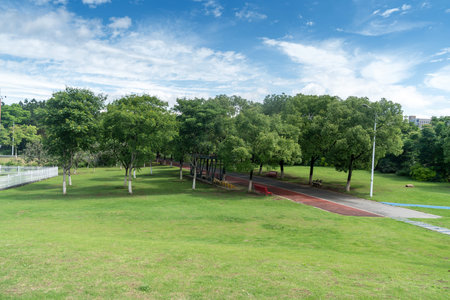 Beautiful panorama of green city park