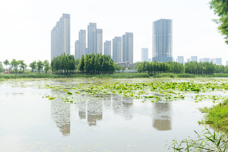 Lakeside modern office building in Chinaの写真素材