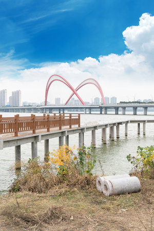 Amazing Modern Bridge against blue skyの写真素材