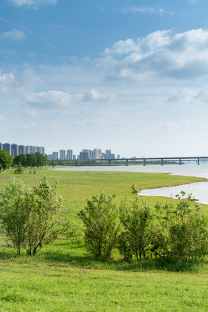Beautiful panorama of green city parkの写真素材