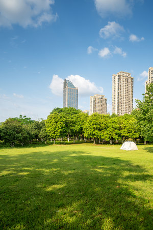 spring park and modern cityの写真素材