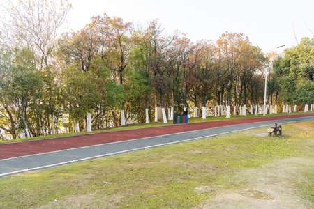 New pathway and beautiful trees track for running or walking and cycling relax in the parkの写真素材