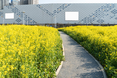 walkway in the modern cityの写真素材
