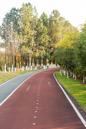 New pathway and beautiful trees track for running or walking and cycling relax in the parkの写真素材