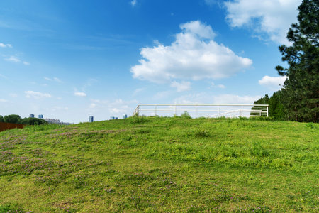 Beautiful panorama of green city parkの写真素材