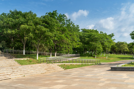 empty, modern square and skyscrapers in modern cityの写真素材