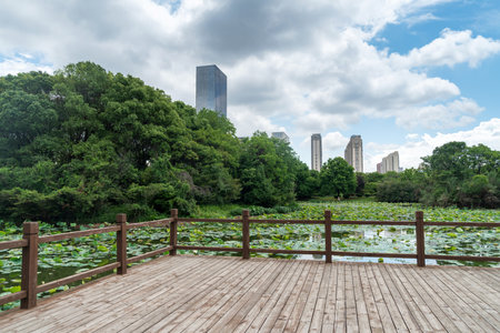 spring park and modern cityの写真素材