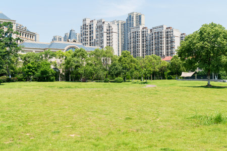 spring park and modern cityの写真素材