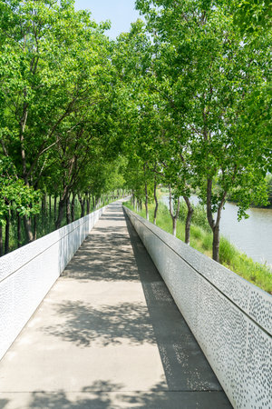 The road of City Park in Chinaの写真素材