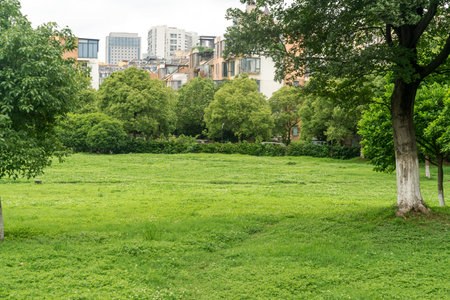 spring park and modern cityの写真素材