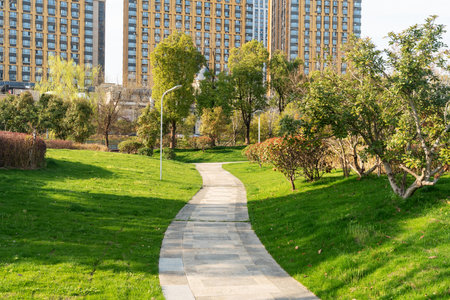 city park with modern building background in shanghaiの写真素材