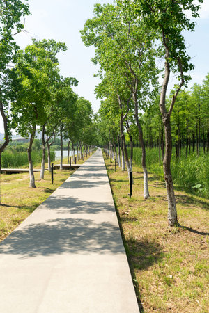 The road of City Park in China