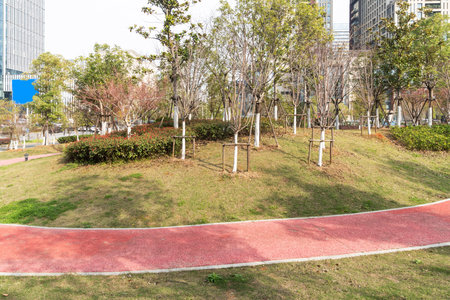 city park with modern building background in shanghai