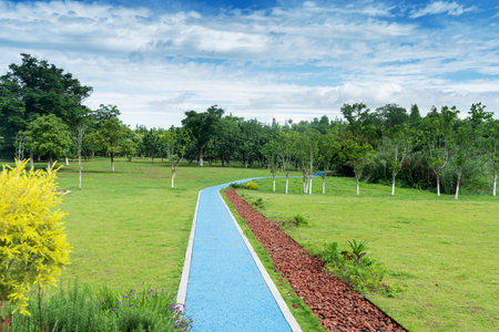 New pathway and beautiful trees track for running or walking and cycling relax in the park