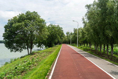 New pathway and beautiful trees track for running or walking and cycling relax in the park