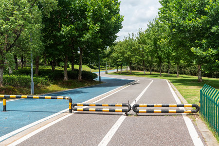 New pathway and beautiful trees track for running or walking and cycling relax in the park