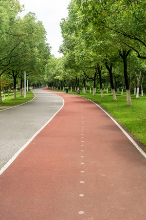 New pathway and beautiful trees track for running or walking and cycling relax in the park