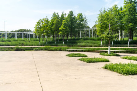 spring park and modern city