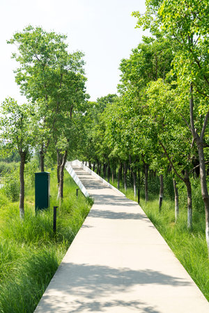 The road of City Park in China