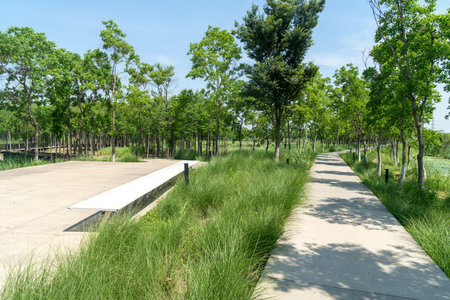 spring park and modern city