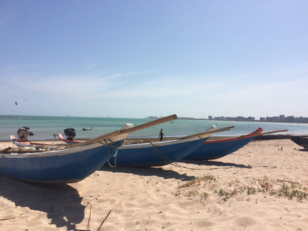 Some old colorful wooden boats at a beach in brazilの写真素材