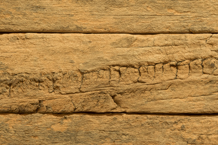 weathered demolition wood section texture detailの写真素材