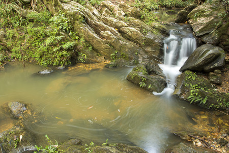 small waterfall in a creek running among the rocks in the middle of a dense forest - horizontalの写真素材