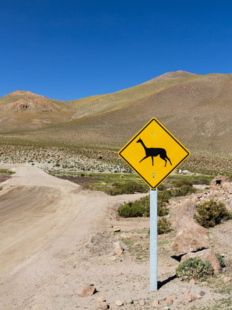 llama road sign at atacama desertの写真素材