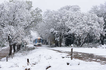 Snowy forest with railroad tracks and train moving from the background in landscape with snowの写真素材