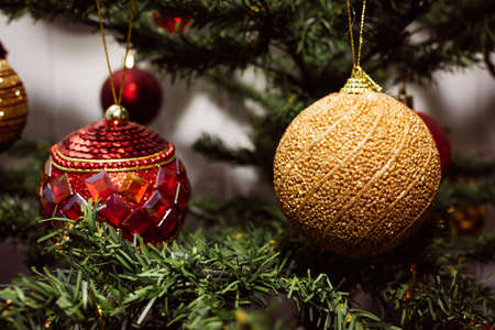 Glamorous christmas balls on pine branchesの写真素材