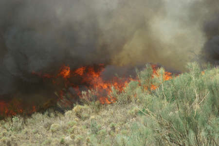 fire in a Spanish mountainの写真素材