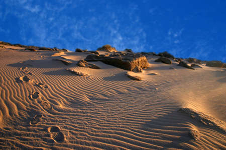 Furrows in the beach with bleu skyの写真素材