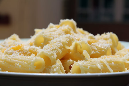 Italian macaroni pasta dish with four cheeses