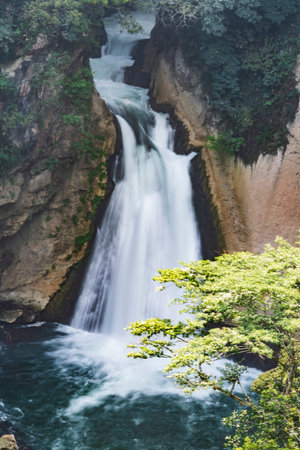 The Atoyac Waterfall in Veracruz is a natural haven of clear water surrounded by lush vegetation. Its cascade forms a cool, luminous pool, perfect for relaxation.の写真素材