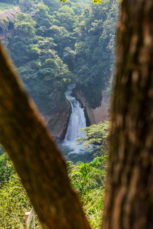 The Atoyac Waterfall in Veracruz is a natural haven of clear water surrounded by lush vegetation. Its cascade forms a cool, luminous pool, perfect for relaxation.の写真素材