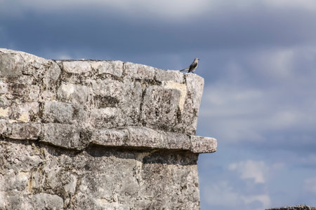 Tulum Archaeological Zone, Quintana Roo, Mexico. It is an ancient walled Mayan city, built facing the Caribbean Sea. Famous for its main temple, "El Castillo".の写真素材