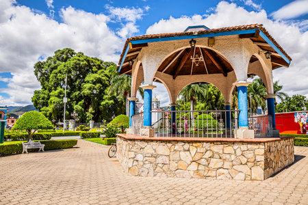 Tule Tree, Santa María del Tule, Oaxaca, Mexico. It is a majestic ahuehuete (Taxodium mucronatum) famous for having the largest trunk circumference in the world (more than 40 m).の写真素材