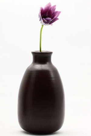 Purple flower in earthenware vessel の写真素材